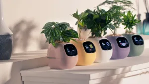 Unlock 4 Magical Features of IVY-plants